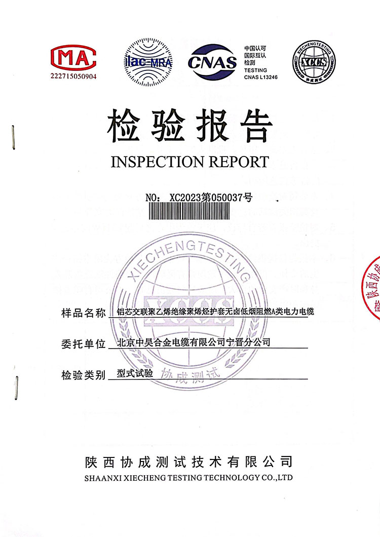 檢驗(yàn)報(bào)告