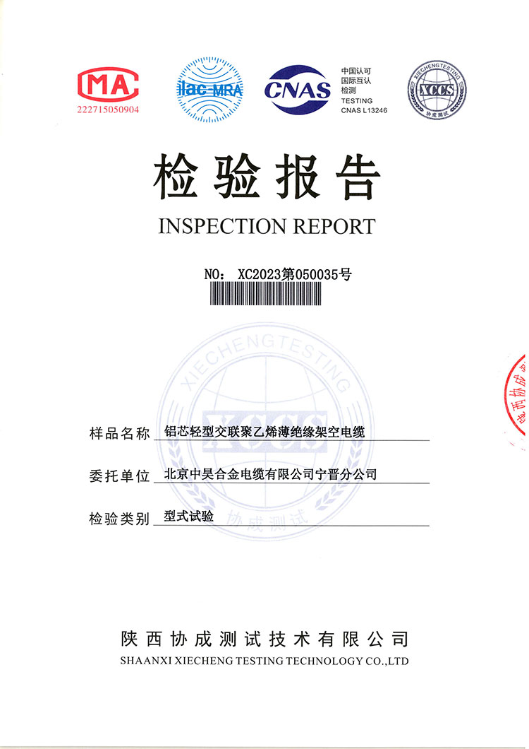 檢驗(yàn)報(bào)告